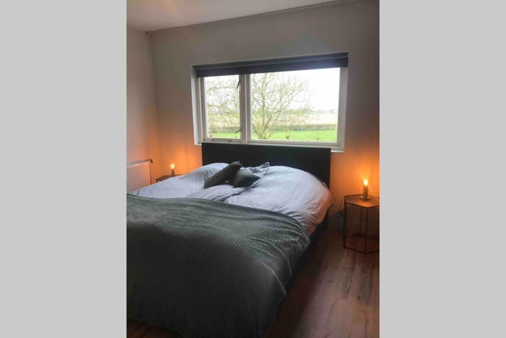 Suite School 15 B Zonnemaire Eksteriør billede