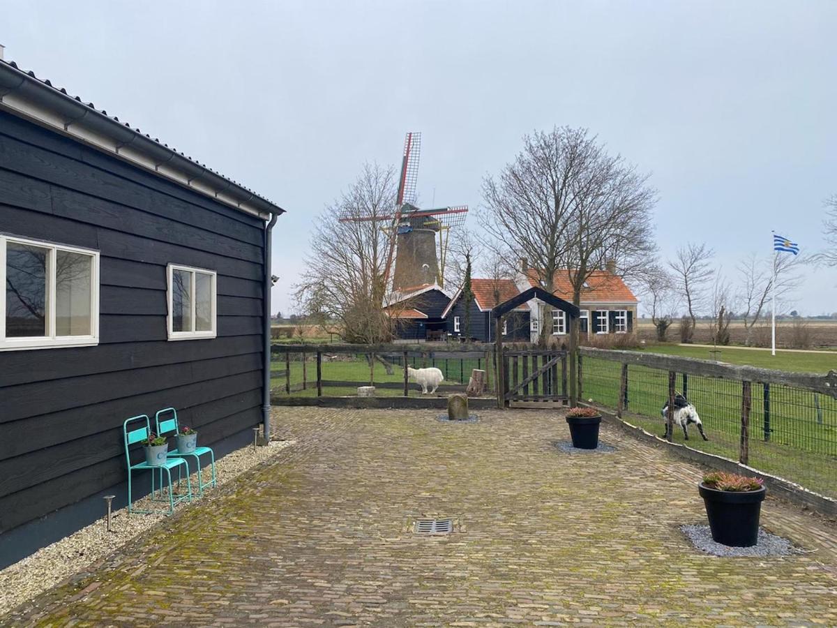 Suite School 15 B Zonnemaire Eksteriør billede